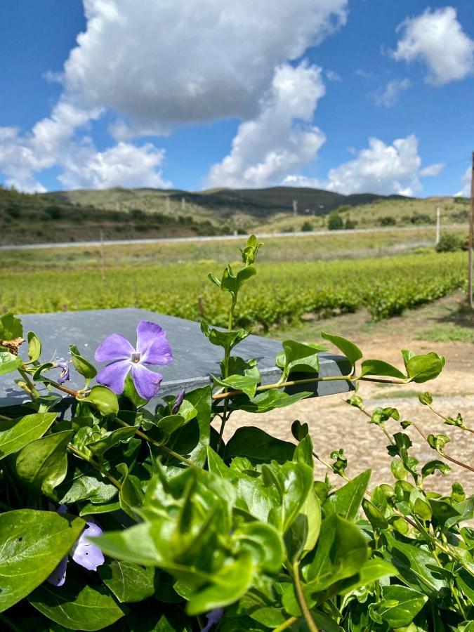 Quinta Do Chao D'Ordem Βίλα Vila Nova de Fozcoa Εξωτερικό φωτογραφία